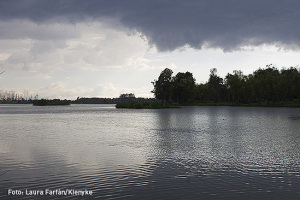 parque natural florida-01-Laura Farfan