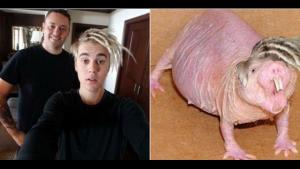 justin-bieber-dreads4-47eea