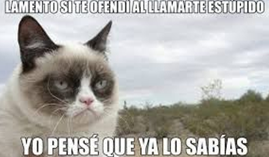 Los Memes M S Divertidos Del Grumpy Cat L Kienyke