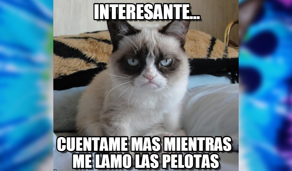 Los Memes M S Divertidos Del Grumpy Cat L Kienyke