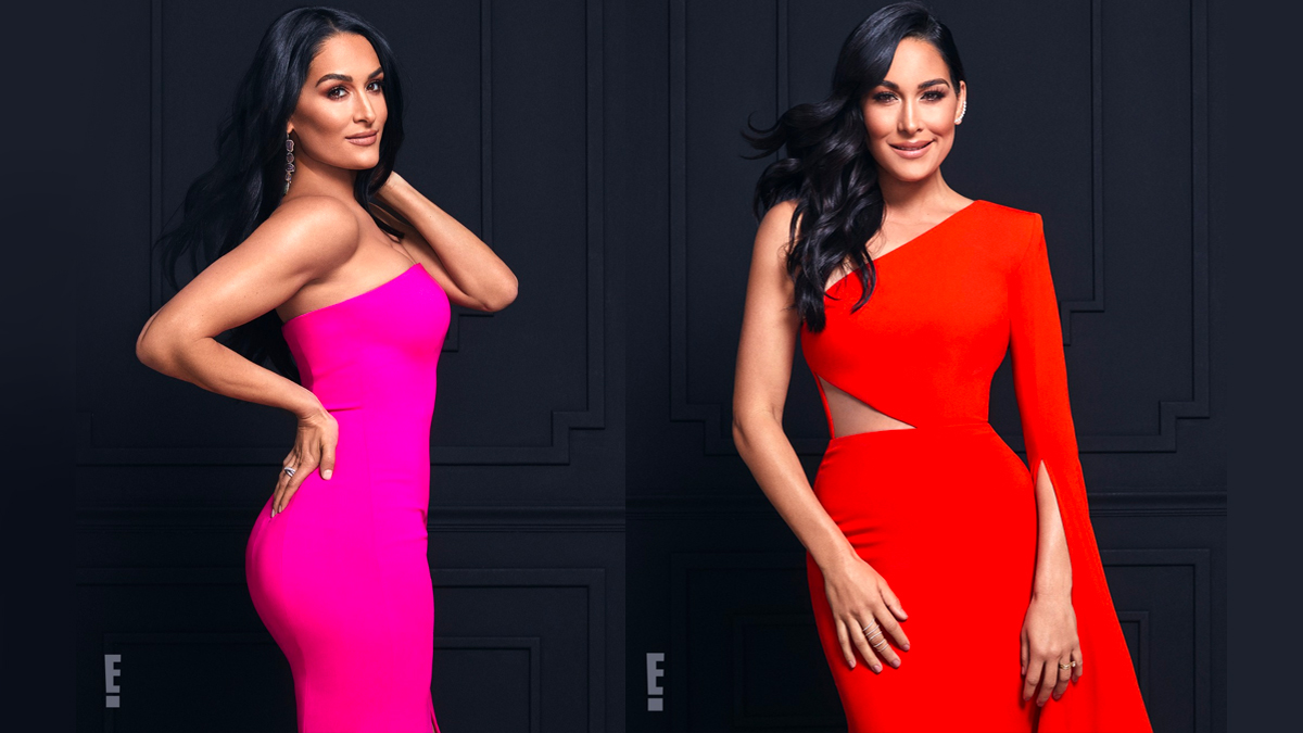 Nikki y Brie Bella volverán al universo de la WWE? | KienyKe