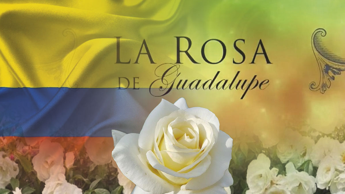 Burlas a La rosa de Guadalupe por particular acento colombiano | KienyKe