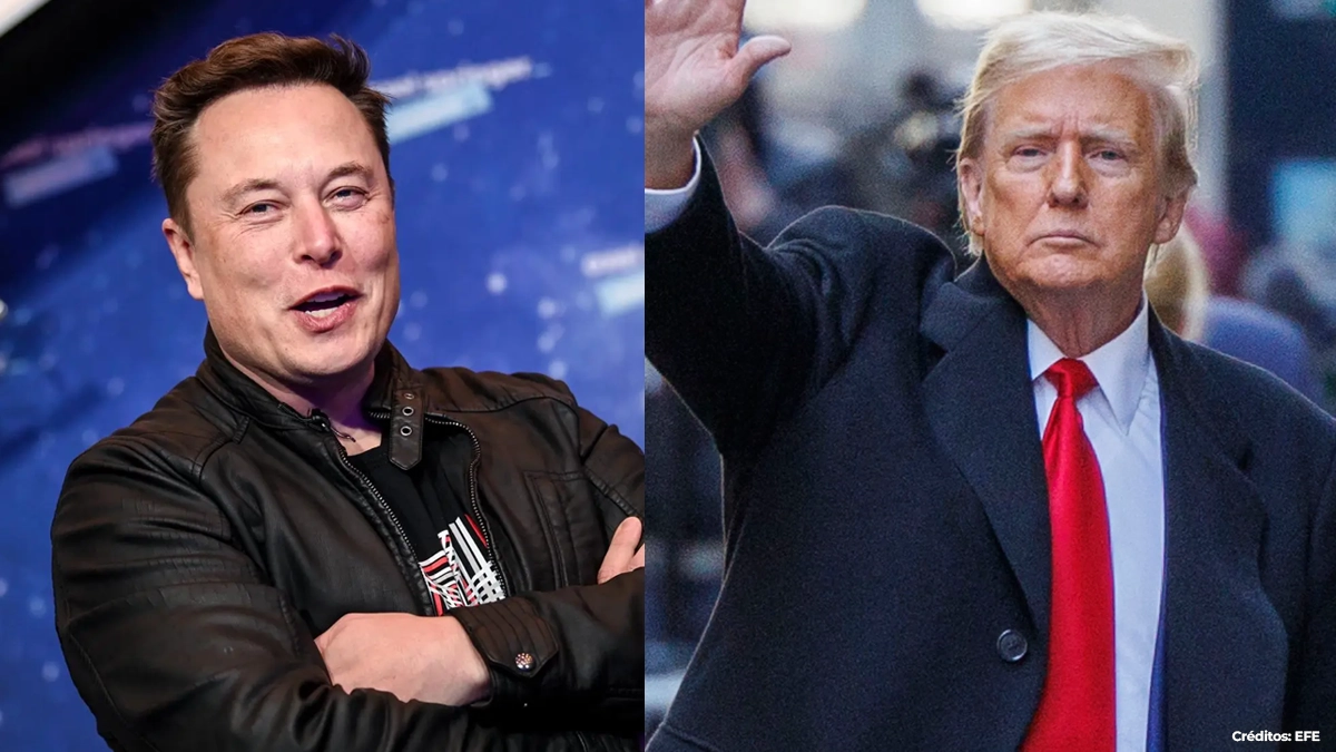 donald trump y elon musk