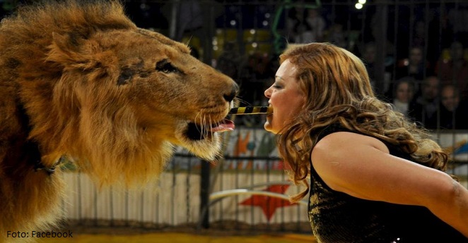 Video) León ataca a su domadora en plena función de circo | KienyKe