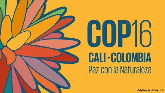 El 76 % de los colombianos nunca ha escuchado sobre la COP16, según una encuesta