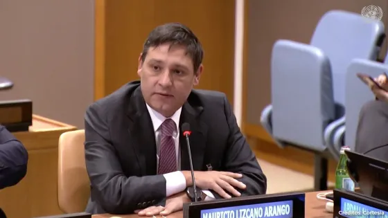 Ministro Mauricio Lizcano en la ONU. 