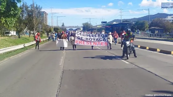 Manifestaciones TransMilenio