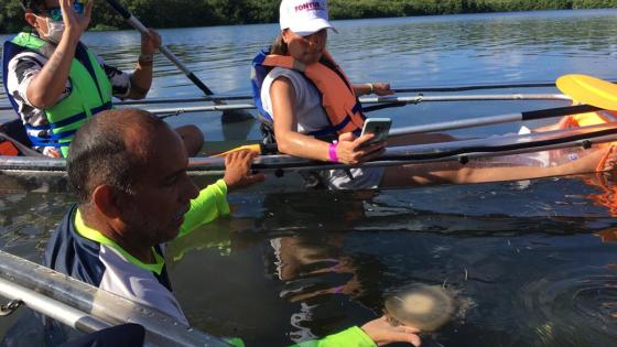 Ecofiwi kayak transparente San Andrés