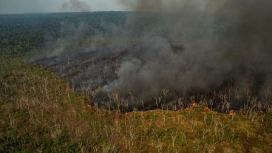 El mayor humedal tropical del mundo se convirtió en un infierno