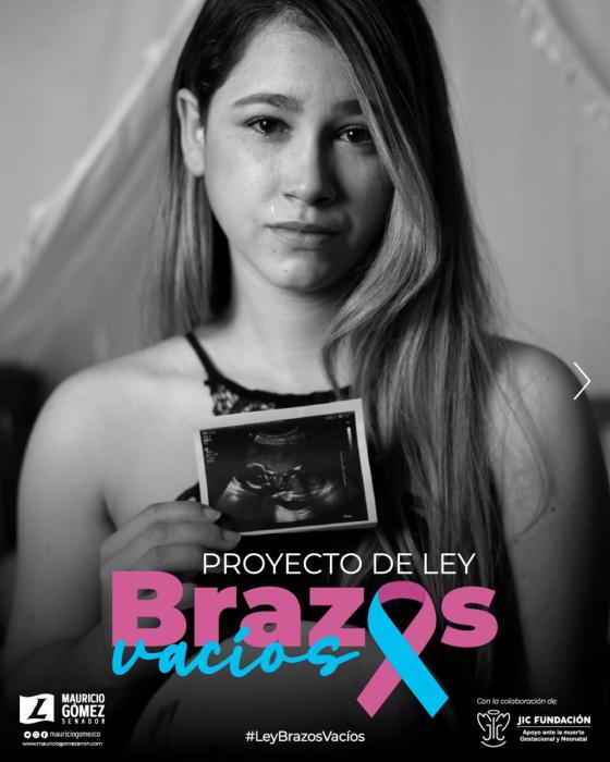 Por una atención humanizada de la muerte gestacional y neonatal: Proyecto de Ley Brazos Vacíos Por una atención humanizada de la muerte gestacional y neonatal: Proyecto de Ley Brazos Vacíos