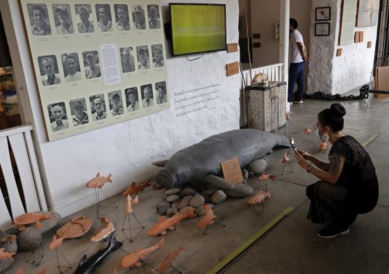 Museo Museo