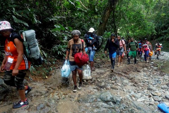 La selva que no deja ir a los migrantes