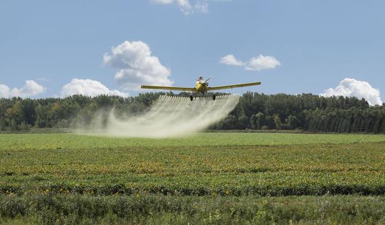 Vuelve a fracasar intento de prohibir el glifosato en Colombia