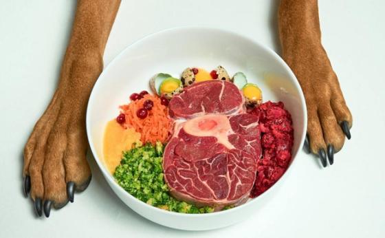 comida natural para perro noticias que puede comer mi perro