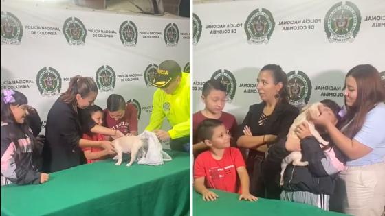 apareció Candy perrita tres meses raptada Medellín Santa Mónica noticias 