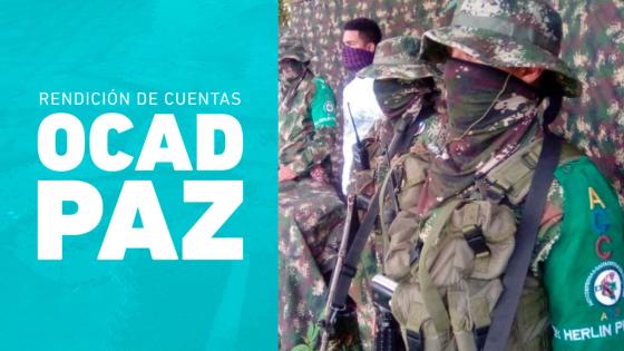 Ocad Paz Clan del Golfo Risaralda Carolina Giraldo Botero