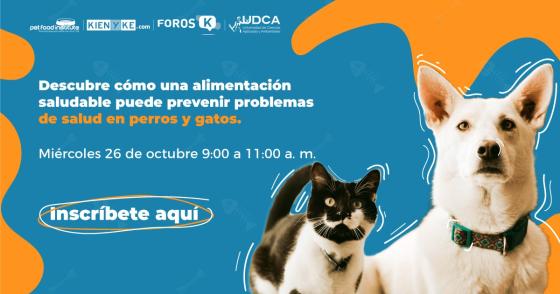 Foro 'MasCoscientes: tendencias en la alimentación de las mascotas'.