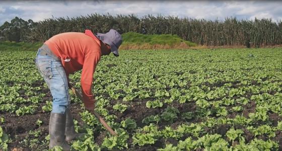 Ante la ola invernal, el Banco Agrario fortalece su atención para  los afectados