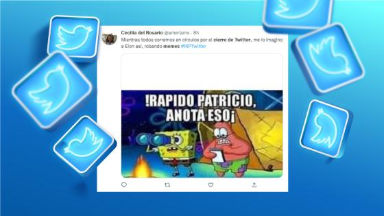 Los memes que dejó el supuesto cierre definitivo de twitter 