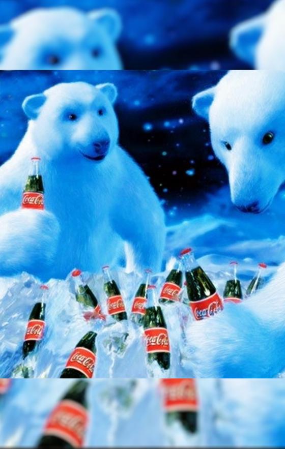 Coca Cola osos de navidad