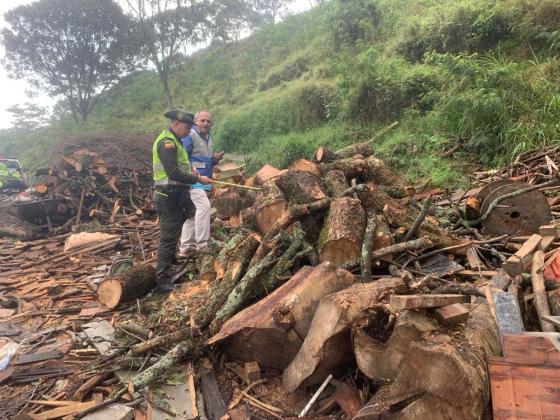 arboles Medellín Antioquia noticias Policia capturados carbón