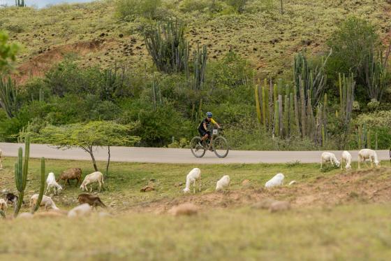 Carrera de MTB se hará en desierto de La Tatacoa