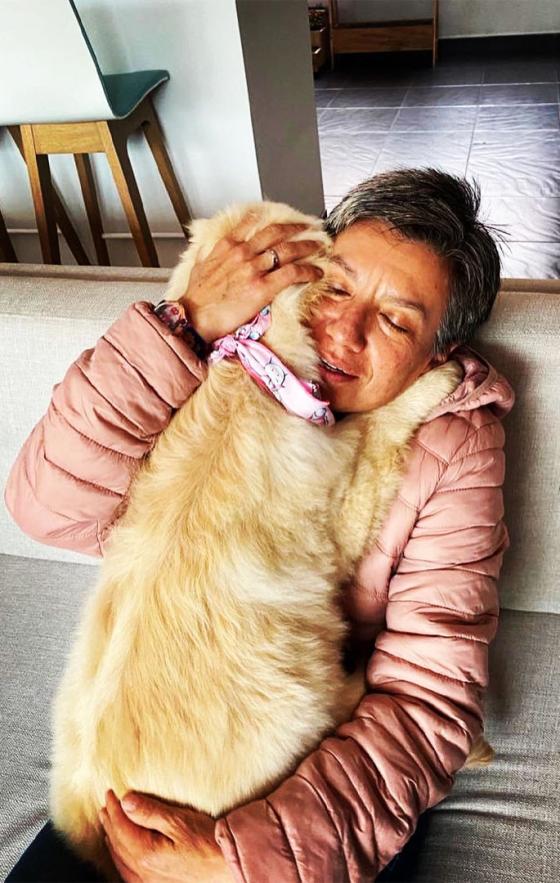 Las mascotas más famosas de algunos políticos colombianos