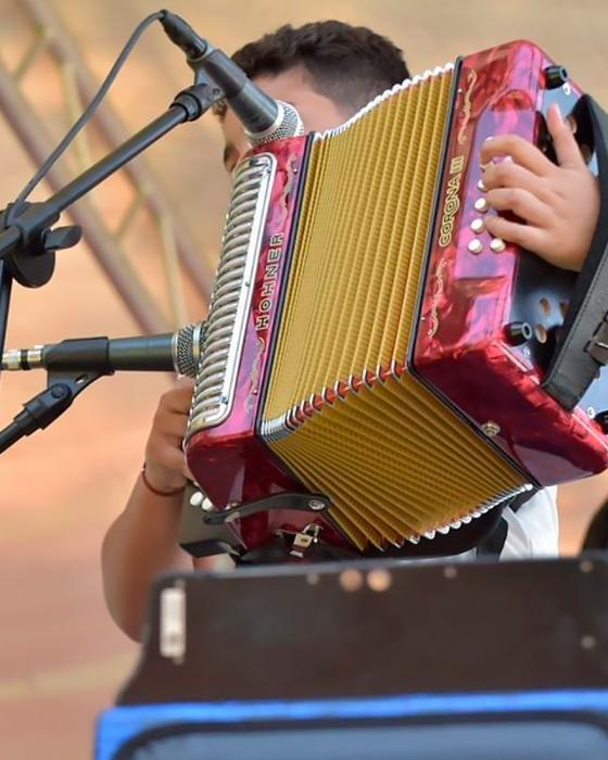 Festival Vallenato Oficial