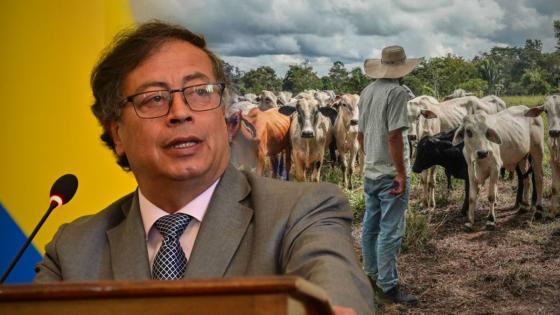 Petro hace propuesta a los ganaderos para avanzar en la reforma agraria "Más tierras, menos vacas"