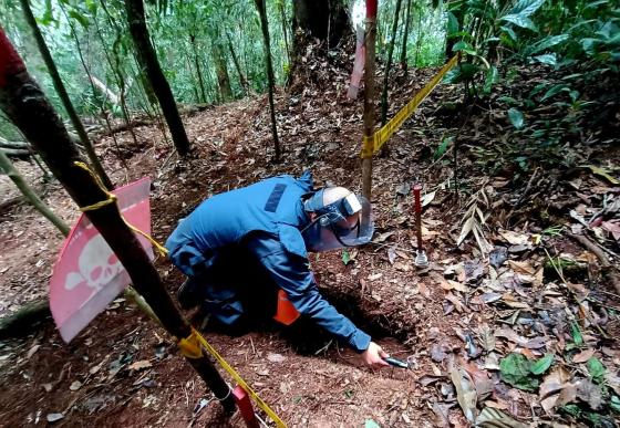 minas antipersonal Colombia 