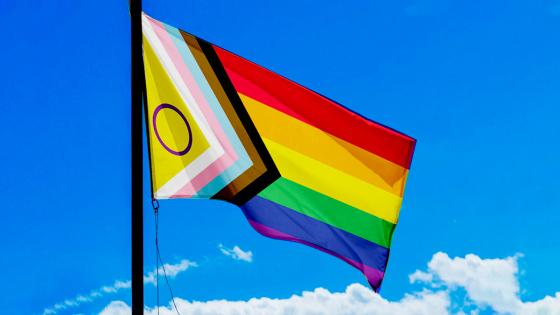 Conozca el significado de cada color de la bandera del Orgullo Gay o LGBT+