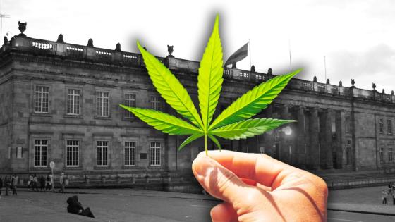 Cannabis de uso adulto agoniza en el Congreso tras segundo aplazamiento