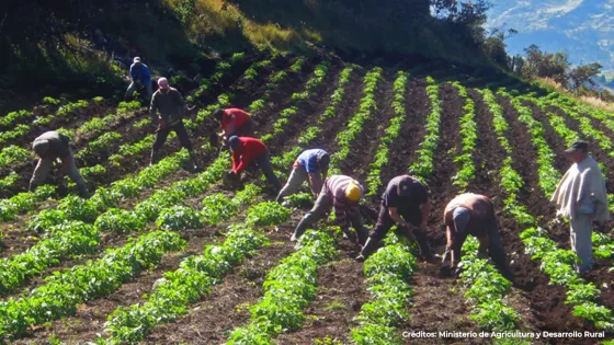 Min.agricultura