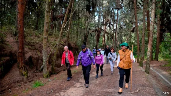 ¡Senderismo seguro! Así puede inscribirse en las caminatas gratuitas del IDRD