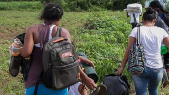 Más de 180 migrantes venezolanos se declaran víctimas de desplazamiento forzado en Medellín