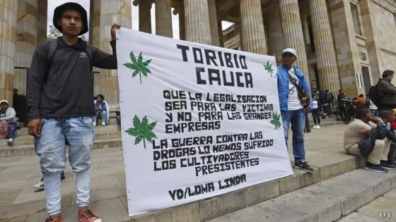 Regulación del cannabis de uso adulto se hundió nuevamente en el Congreso