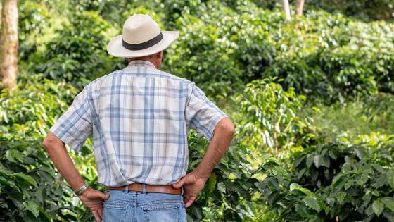 Los desafíos del café colombiano en el cambio climático