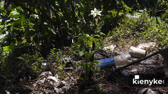  Humedal Córdoba: El paraíso Verde de Bogotá