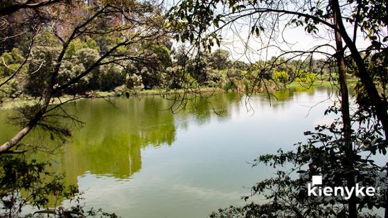 Humedal Córdoba: El paraíso Verde de Bogotá