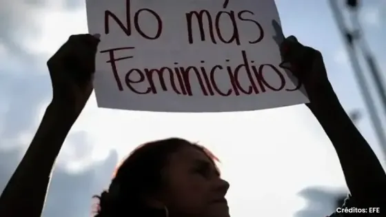 Feminicidio Feminicidio