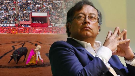 Las claves sobre la ley que prohíbe las corridas de toros en Colombia