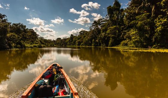 Amazonas