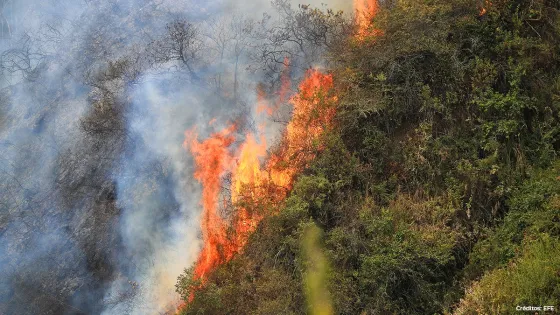 incendio-forestal