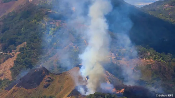 El fuego arrasa más de 12.000 hectáreas de bosques en Colombia