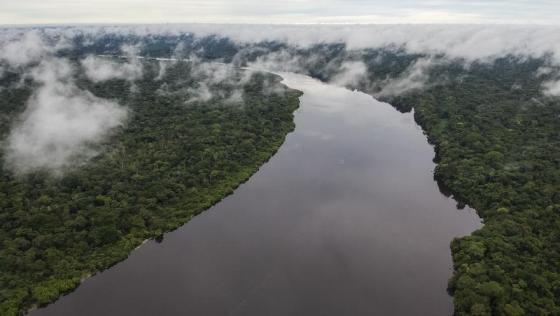 Negocios verdes son clave para el desarrollo de Amazonía colombiana