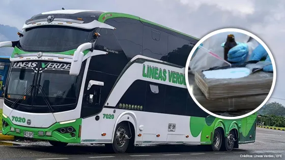 Bus Líneas Verdes 