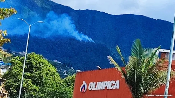 Incendio forestal Bogotá