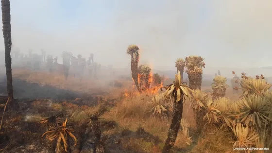 Fuerte incendio se presenta en Siachoque, Boyacá