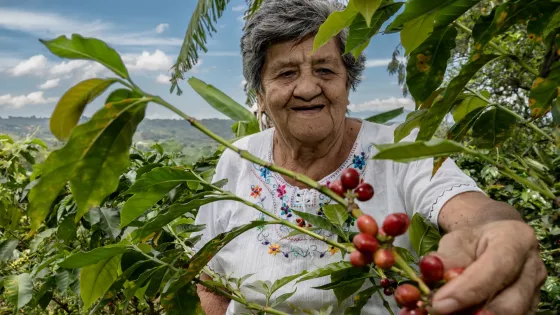 Día-Mujer-Rural-ONU-mujeres Día-Mujer-Rural-ONU-mujeres