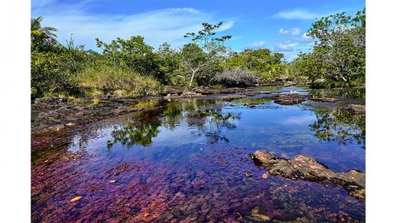 Caño-Cristales-Colombia